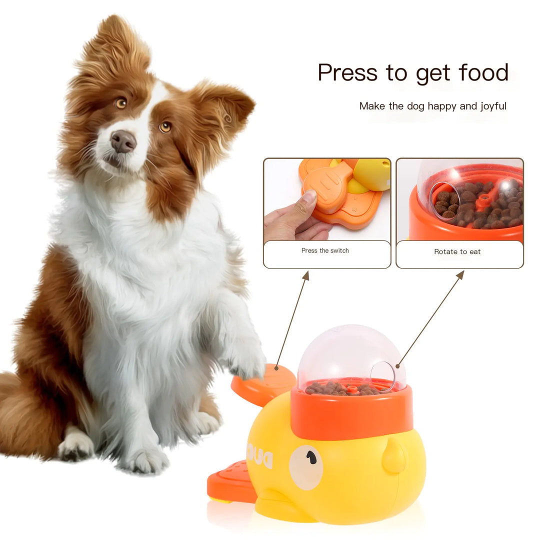 Intelligent Automatic Pet Feeder
